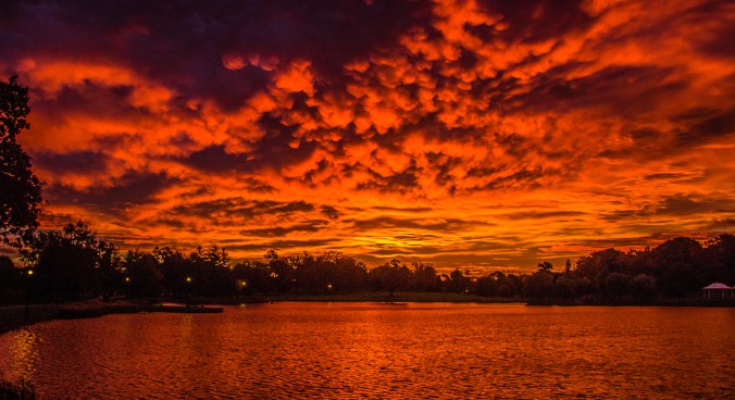 Strathmore Speaker Series 2