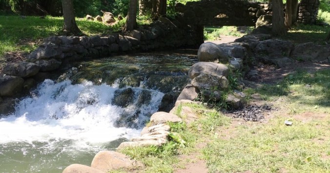 Celebrating 100 Years of City&nbsp;Parks