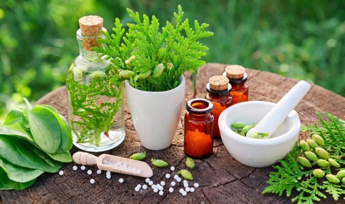 Nurse Practitioner & Clinical Herbalist Lauren Eadline on “Building Bridges, Closing Gaps: Holistic Health & Modern&nbsp;Medicine”